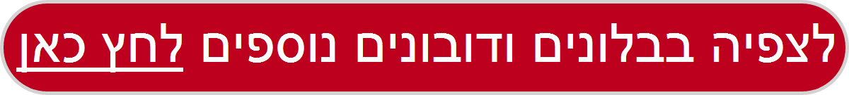 בלונים ודובונים