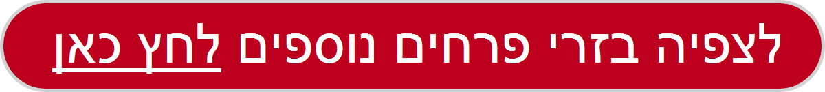 זרי פרחים