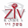 zivroses משק זיו